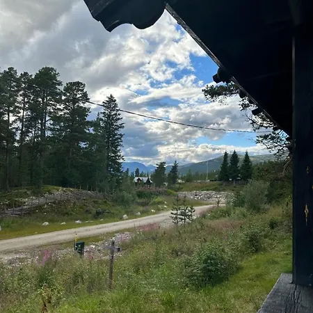 Atnasjo Kafe As Sollia