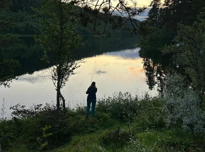 Atnasjo Kafe As * Sollia